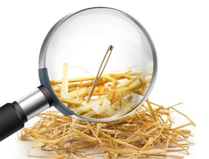 needle in haystack ecommerce executive search