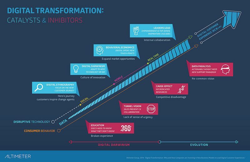 interim digital marketing executive transformation