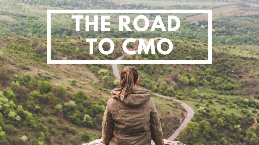 CMO executive recruiters marketing executive recruiters